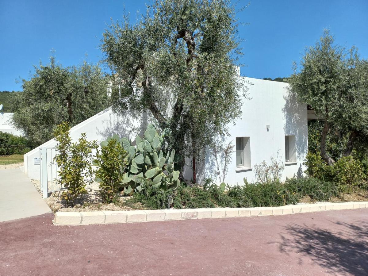 Hmo Glamping & Suites In Vignanotica Mattinata Exterior photo
